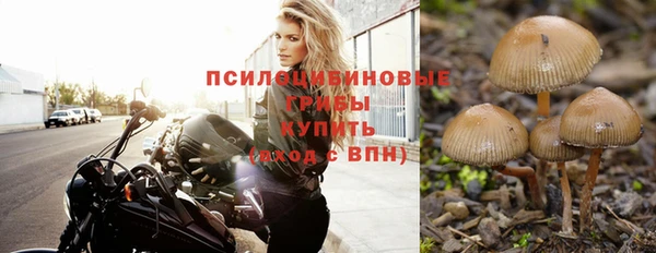 а пвп мука Каменногорск