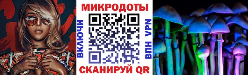 Купить закладки  Северск  Галлюциногенные грибы ЛСД 